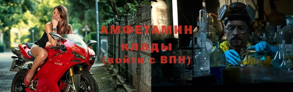 сатива Няндома