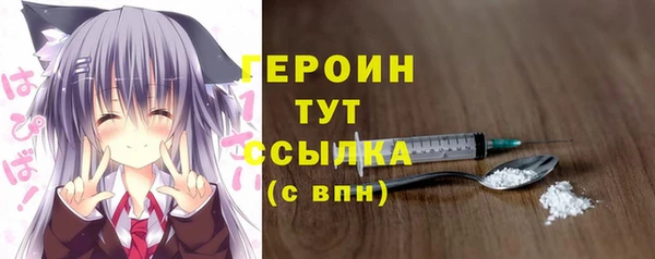 сатива Няндома
