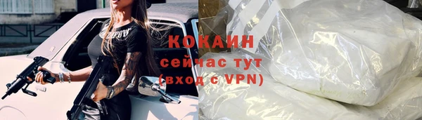 сатива Няндома