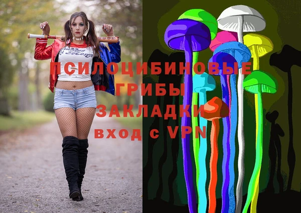сатива Няндома