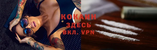 сатива Няндома