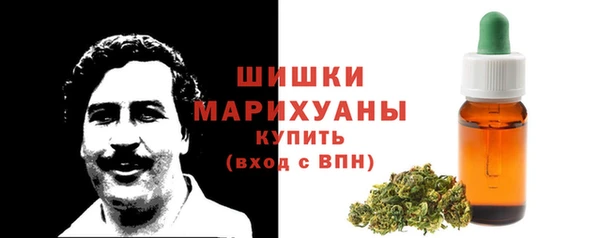 сатива Няндома