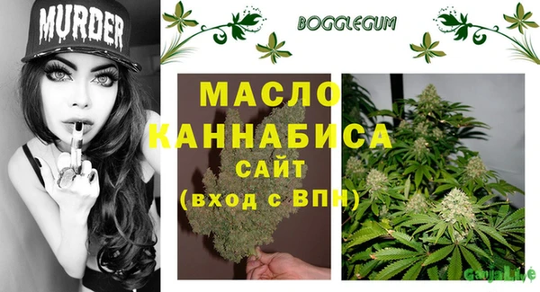 сатива Няндома