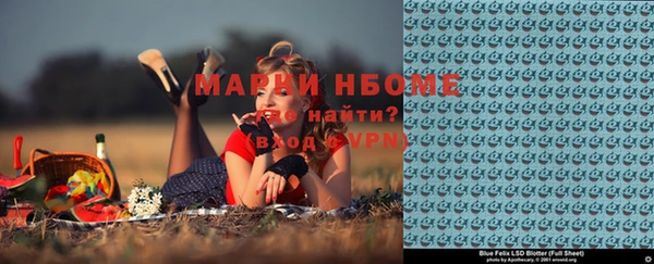 сатива Няндома