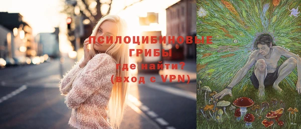 сатива Няндома