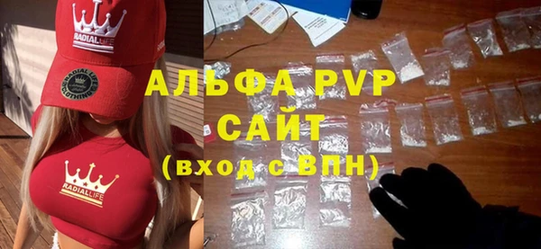 сатива Няндома