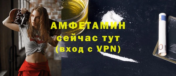 сатива Няндома