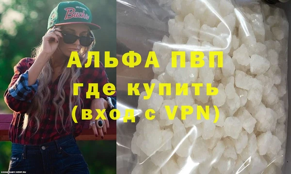 сатива Няндома