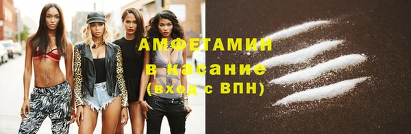 сатива Няндома